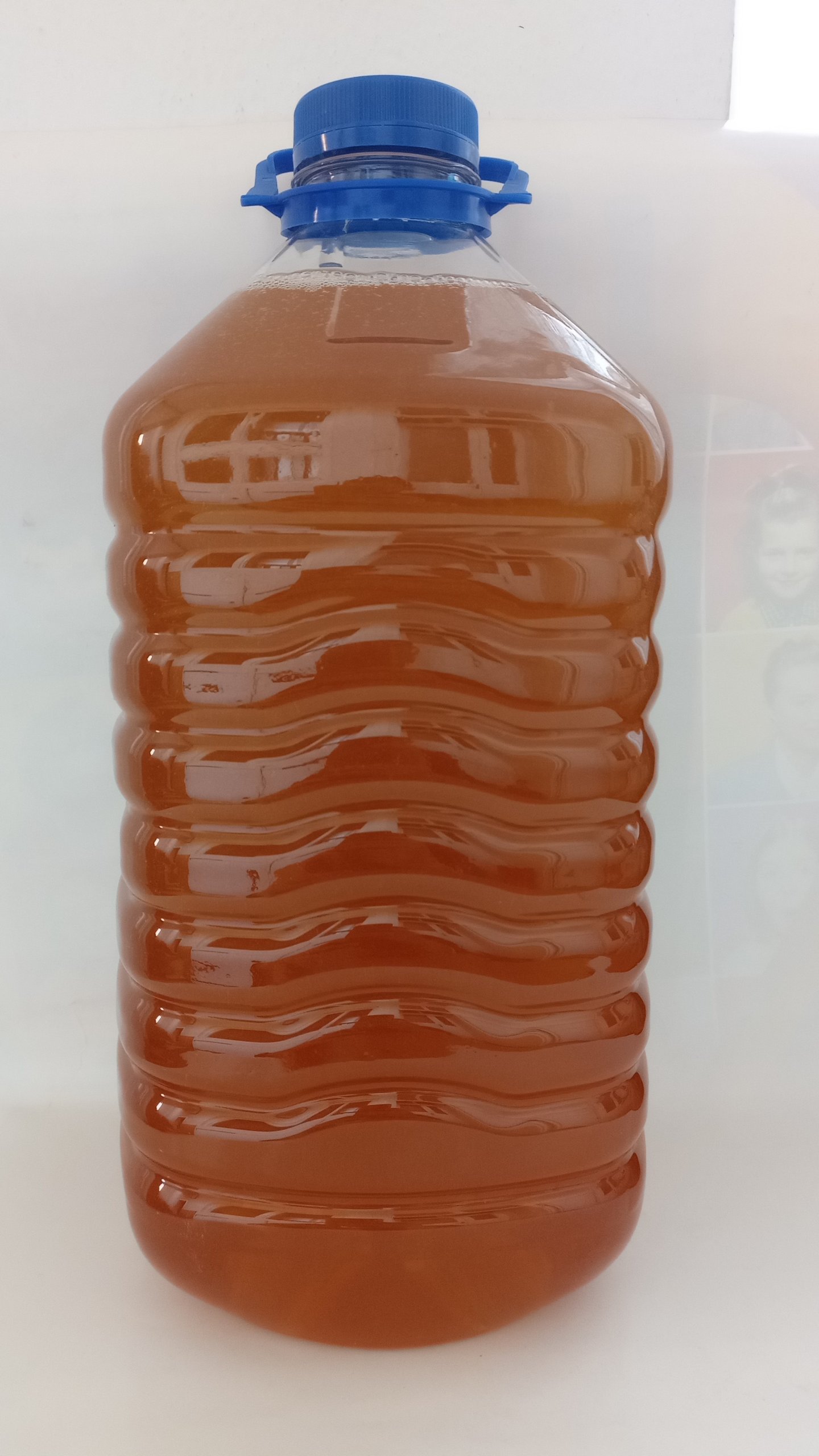 Miere Salcam -7kg